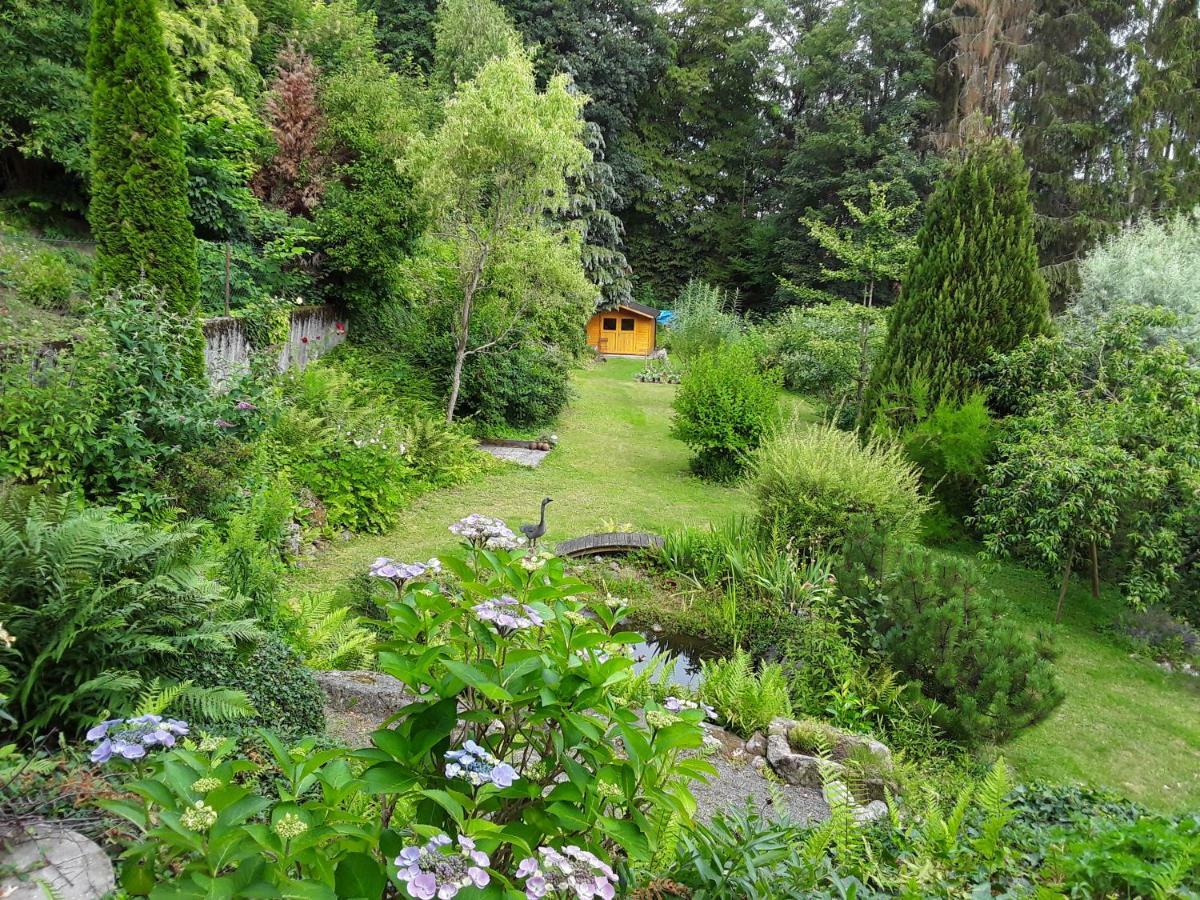 Ferienwohnung Hans Lindenfels 外观 照片